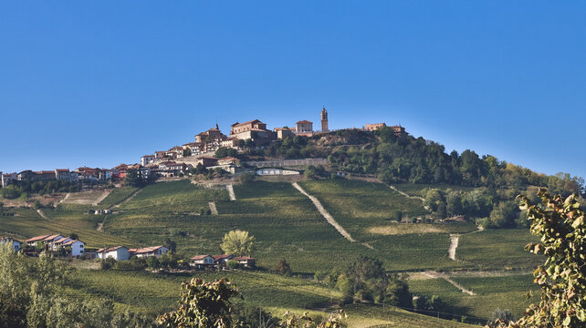 landscapes of the Langhe in Piedmont with vineyards during summer before autumn and the harvest near Alba and Barolo