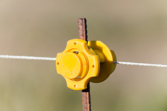 Yellow electric fence isolator holding white farm line