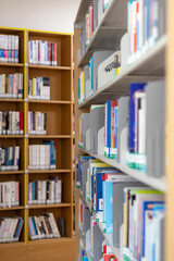 Blurred Bookshelves in a Library with Bokeh Background © 영호 신