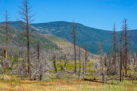 Inland Northern California mountains with trees