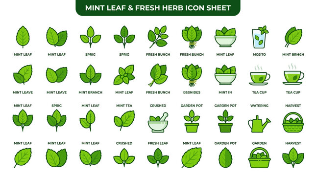 Mint leaf and fresh herb icons.