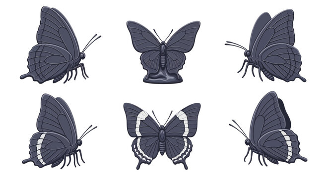 Set of Dark Blue Butterfly Character Sprites in Various Poses