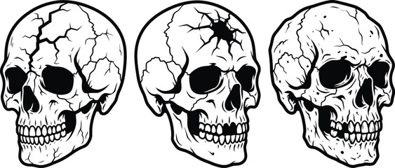 Fototapeta premium Three unique black and white human skull vector illustrations with cracked bone details, isolated on white background, minimal Halloween clipart.