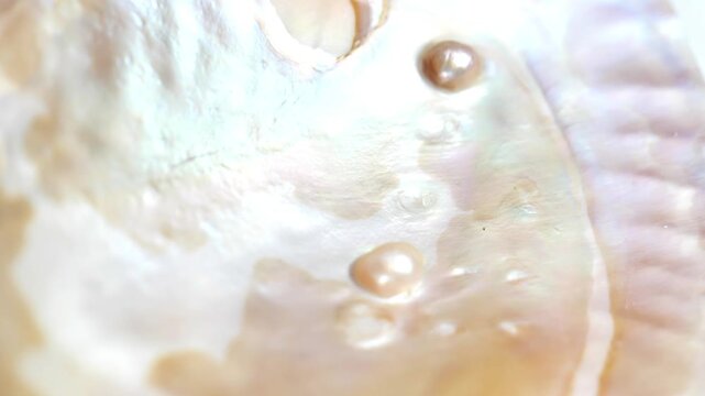 mother of pearl texture in soft beige tones and organic pattern with highlights and shimmering light. 4k footage