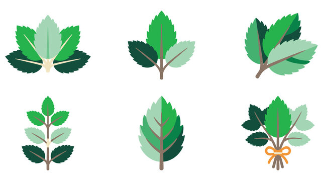 Set of six stylized mint leaves vector illustration collection.