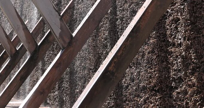 Poland Ciechocinek evaporation salt Graduation Tower close. Brine structure, built 1824. Healing power of salt minerals. Distills evaporates saltwater. Historical. Historic wooden structure. Industry.