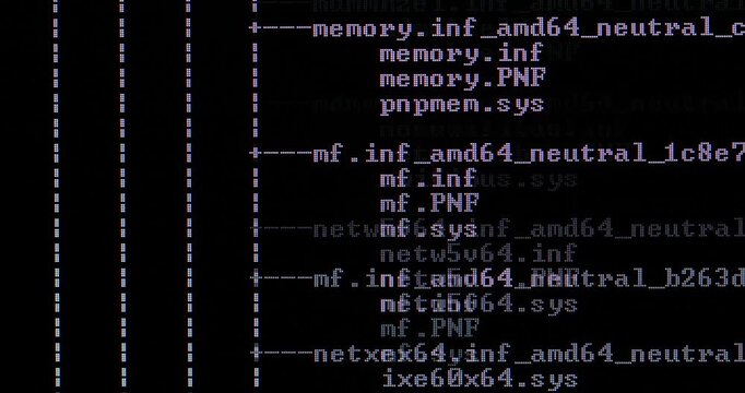Computer console prompt system scan listing files on hard drive