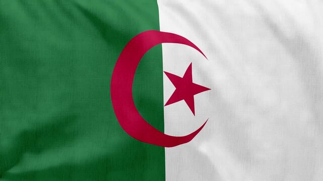Algeria Flag Waving in Wind, Seamless Loop Animation