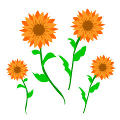 Fototapeta premium Sunflower Flower Collection Flat Cartoon Vector Illustrati
