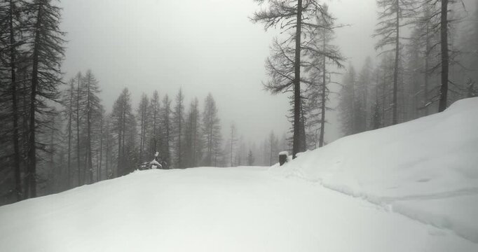 Skiing down a slope in foggy snowy woods