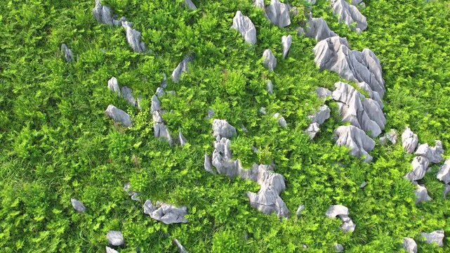 【4Kドローン映像】秋吉台カルスト台地の絶景 ― 日本最大級の石灰岩台地を空から望む