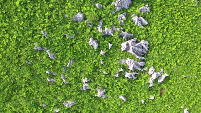 【4Kドローン映像】秋吉台カルスト台地の絶景 ― 日本最大級の石灰岩台地を空から望む