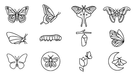 Beautiful butterflies and moths vector icon set with simple bold line art classic monarch swallowtail luna moth cocoon wing pattern and nature wildlife clip art black and white © GULSHAN