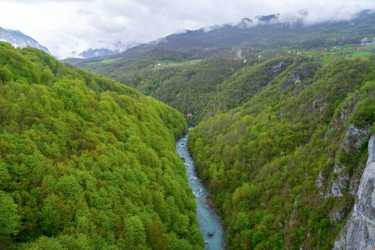 Turquoise mountain river Tara Montenegro rushing through a deep lush forested canyon, pristine nature landscape, Balkans adventure travel