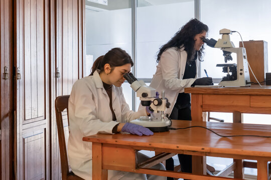 Two female scientists using different microscopes simultaneously in lab