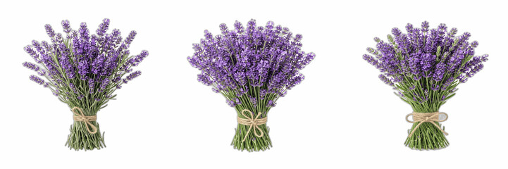 Lavender flower bouquet set isolated on transparent background. Fresh purple provence blossom bunches with burlap rope bow for wedding invitations, aromatherapy skincare labels, rustic greeting cards, © Qari
