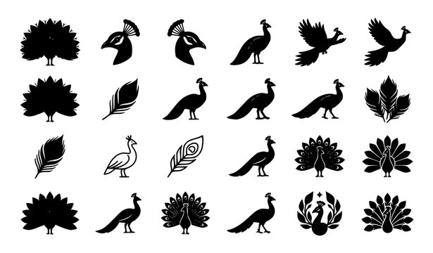 Peacock vector icon collection elegant bird wildlife set