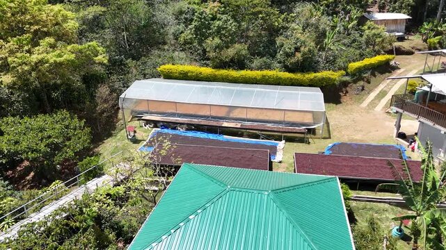 Aerial Drone View of Coffee Farm Greenhouse Tunnel and Drying Facilities Surrounded by Tropical Forest in Rural Honduras