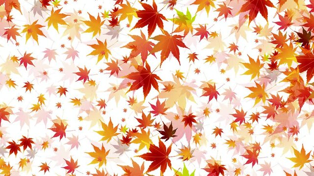 Floating Autumn Maple Leaves 4K