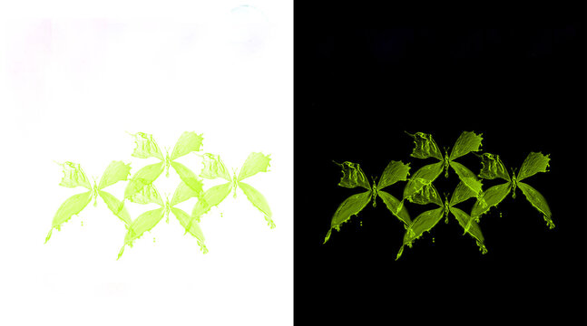 Fluorescent Glow of Plant Leaves Illuminated Under Ultraviolet Light in High Contrast Setting