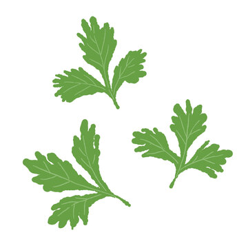 Scattered Green Cilantro Leaves Vector
