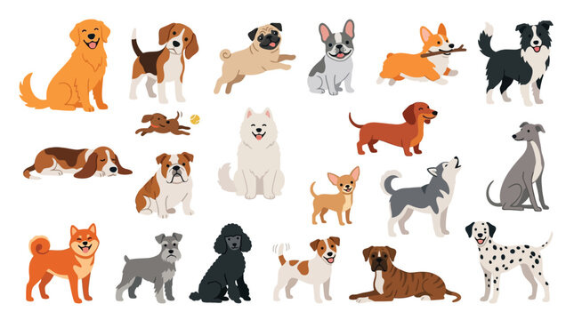 A diverse collection of adorable dog breeds depicted in a charming flat illustration style, showcasing various sizes and personalities.