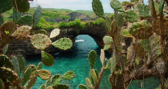 Cactus plants frame natural rock arch over turquoise sea at Broken Beach Nusa Penida Bali