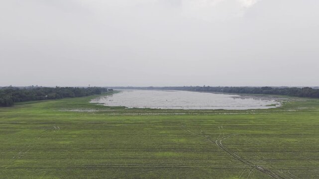 Static drone footage overlooking lush green agricultural fields and seasonal wetlands near Nazirpur Beel in Kushtia, Bangladesh.