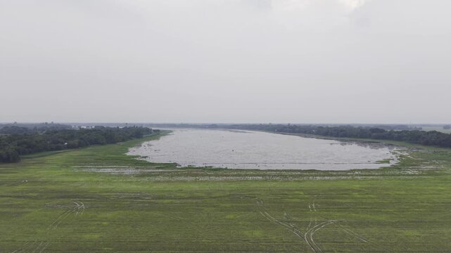Vertical aerial movement captures fertile farmland, green vegetation, and rural landscapes in Kushtia, Bangladesh.