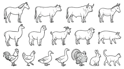 Hand drawn farm animals vector set, black and white line art illustrations of livestock and poultry, 16 rustic ranch animal icons for coloring © Shahzad