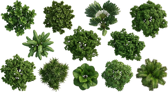 Top view collection of various green trees and shrubs isolated on white background for landscape design