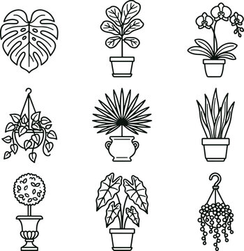 Set of black and white line of various indoor plants, including hanging baskets, potted monstera, fiddle leaf fig, and orchid