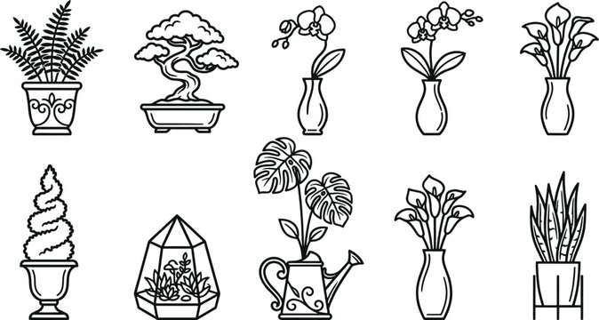 Assorted black and white line of indoor plants, including bonsai, ferns, orchids, calla lilies, and a terrarium in a glass container