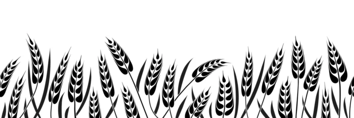 Wheat field, ears of wheat, rye or barley, agriculture and harvest, seamless border, black isolated silhouette on white background, vector drawing © Valerii