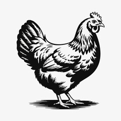 Simple vector art of a hen, featuring clean minimalist lines, cute details, balanced shapes, and a charming farm animal illustration with a natural style. © primus