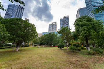 Obraz premium city park with modern building background in shanghai