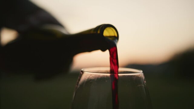 As the sun sets, a hand gracefully pours rich red wine into a glass, capturing the luxurious experience of sipping fine beverages amidst vineyard beauty.