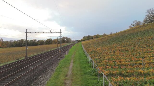 Aerial view of railway tracks running alongside autumn vineyards in Crans, Vaud, Switzerland.