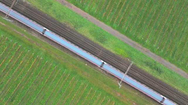 Aerial view of railway tracks running through lush green vineyards in Crans, Vaud, Switzerland.