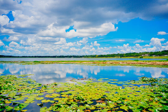 landscape of Lake Wales is a historic city in Polk County, Florida, highest point of Florida
