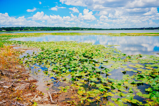 landscape of Lake Wales is a historic city in Polk County, Florida, highest point of Florida
