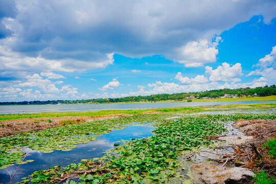 landscape of Lake Wales is a historic city in Polk County, Florida, highest point of Florida