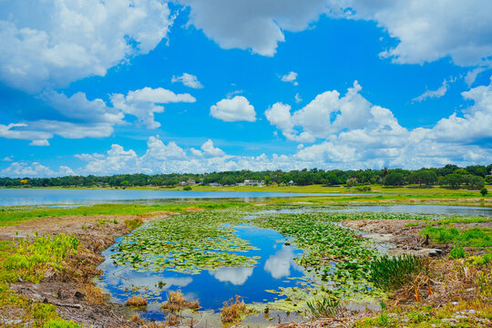 landscape of Lake Wales is a historic city in Polk County, Florida, highest point of Florida