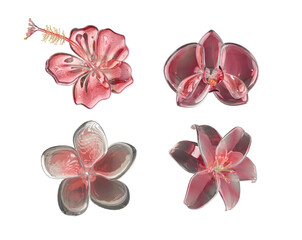 Chrome Glass Pink Blossom Luxury Shiny Tropical Flower Asset for Summer © soli14e