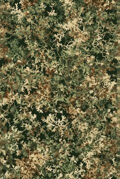 Forest green brown tan moss green cream illustration backgroundv