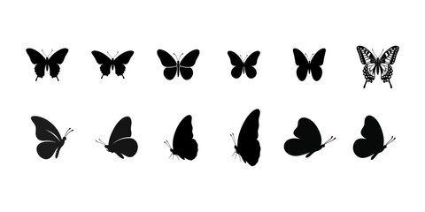 Collection of black butterfly silhouettes in various poses and sizes . © SYEDMASUD