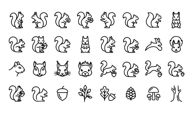 Squirrel outline icons vector minimalist woodland pack