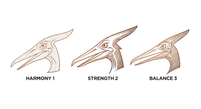 Illustration of three pterosaur heads with different traits.