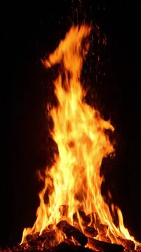 Vibrant fire flames burning on wood logs with flying sparks isolated on black background