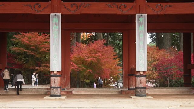 Autumn Foliage at Daimon Gate, Koyasan World Heritage Site, Koya Town, Wakayama Prefecture, Japan　「世界遺産高野山・大門と紅葉」和歌山県高野町